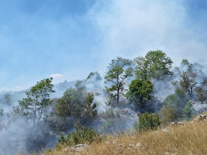 Situacija na požarištima u Herceg Novom i Ulcinju stabilnija