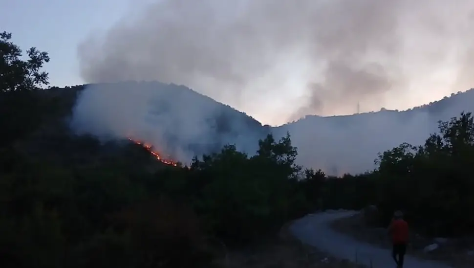 Vjetar ponovo aktivirao požarišnu liniju na Zubcima kod Trebinja