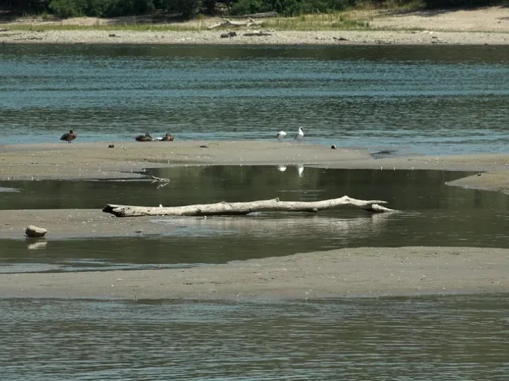 Dunav otkrio skriveni dio prošlosti: Iz vode ponovo izronio čuveni korbovski dud