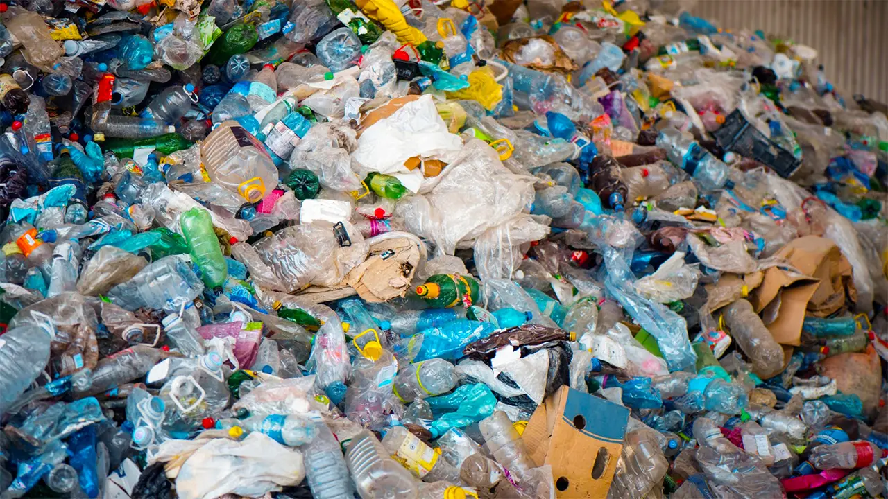Naučnici napravili jestive kolačiće od plastičnih flaša - Tehnologija - BIG portal