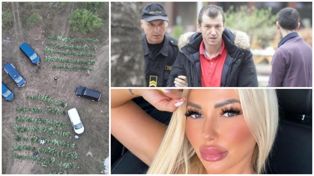 Akcija “Pantera”: Pronađena ilegalna plantaža marihuane, uhapšene četiri osobe