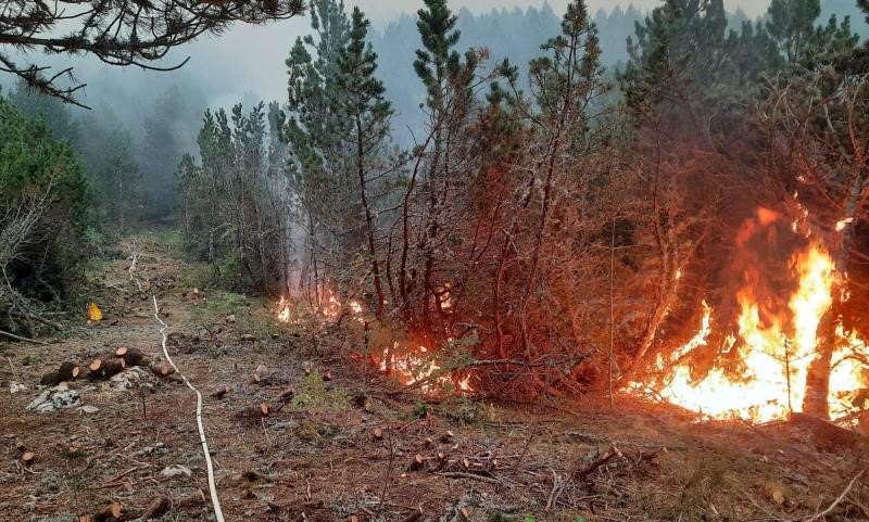 Čvrsnica i dalje gori: Vatra se širi pod zemljom i izbija desetinama metara dalje