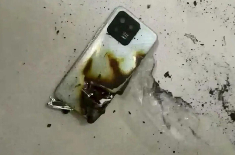 Medved napao dečaka, telefon mu spasao život - Tehnologija - BIG portal